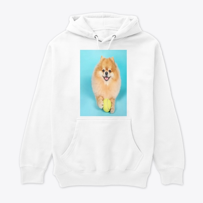 cute dog