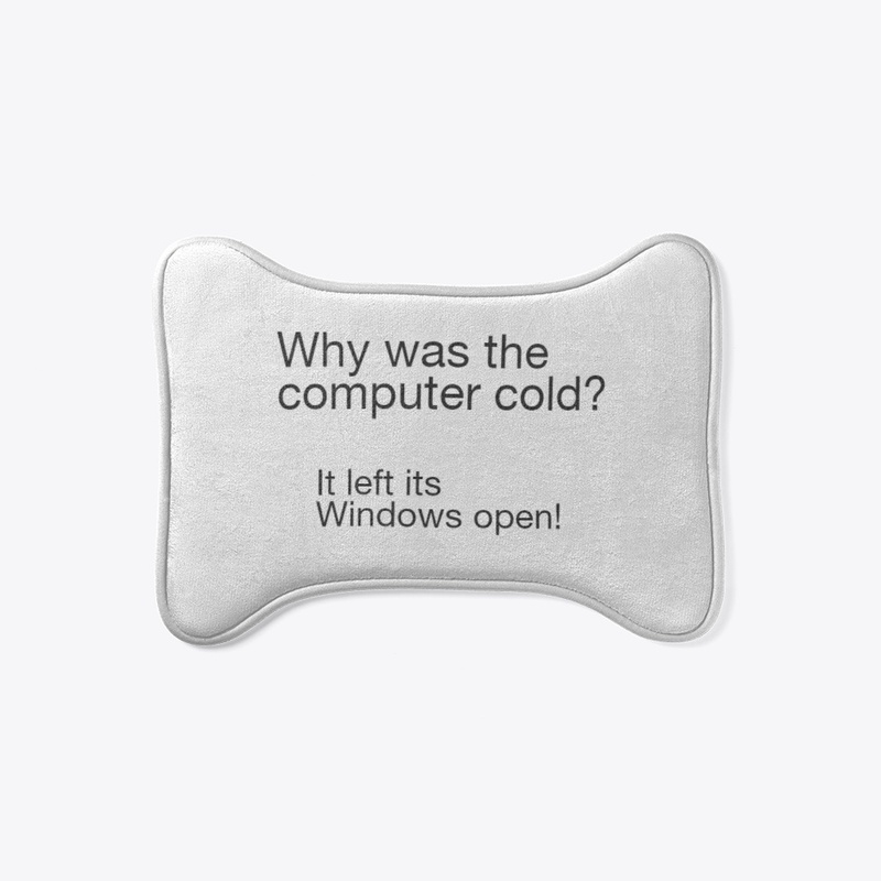 Why was the computer cold?