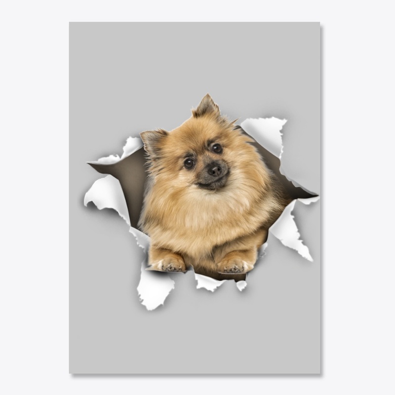 German Spitz Torn Paper