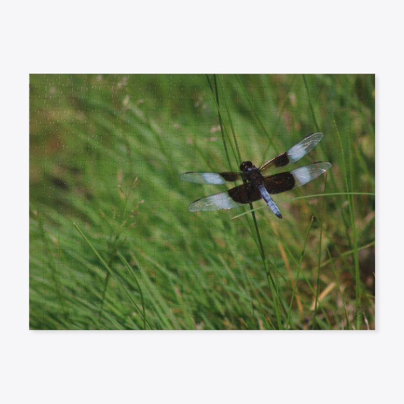 Dragonfly