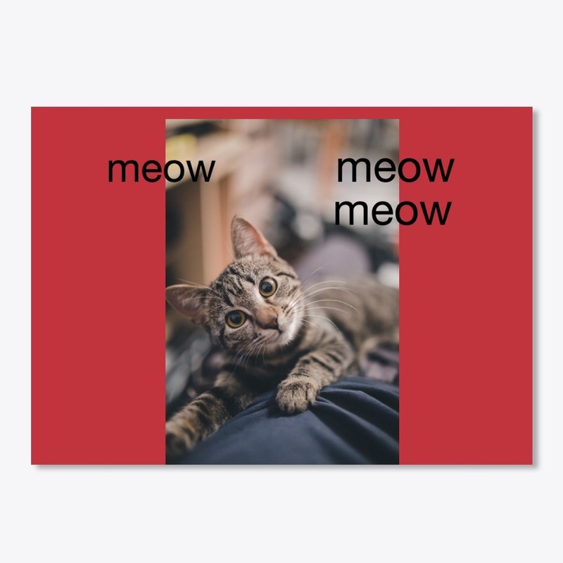Meowing cat