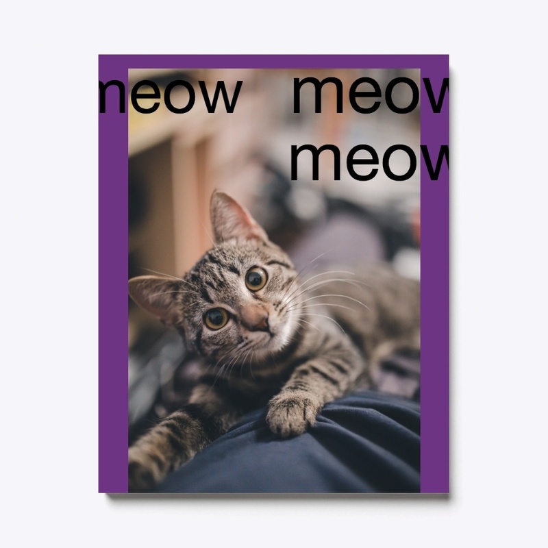 Meowing cat