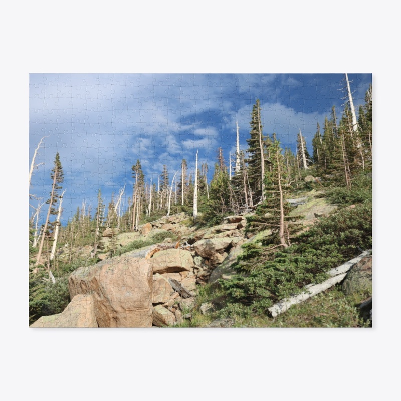 Colorado 38