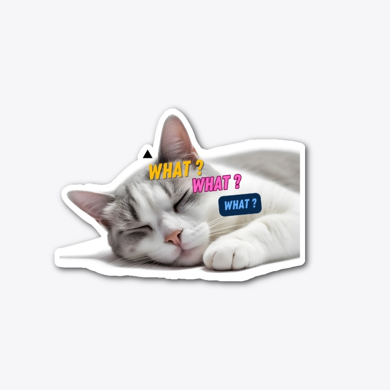 Every cat is my best friend.