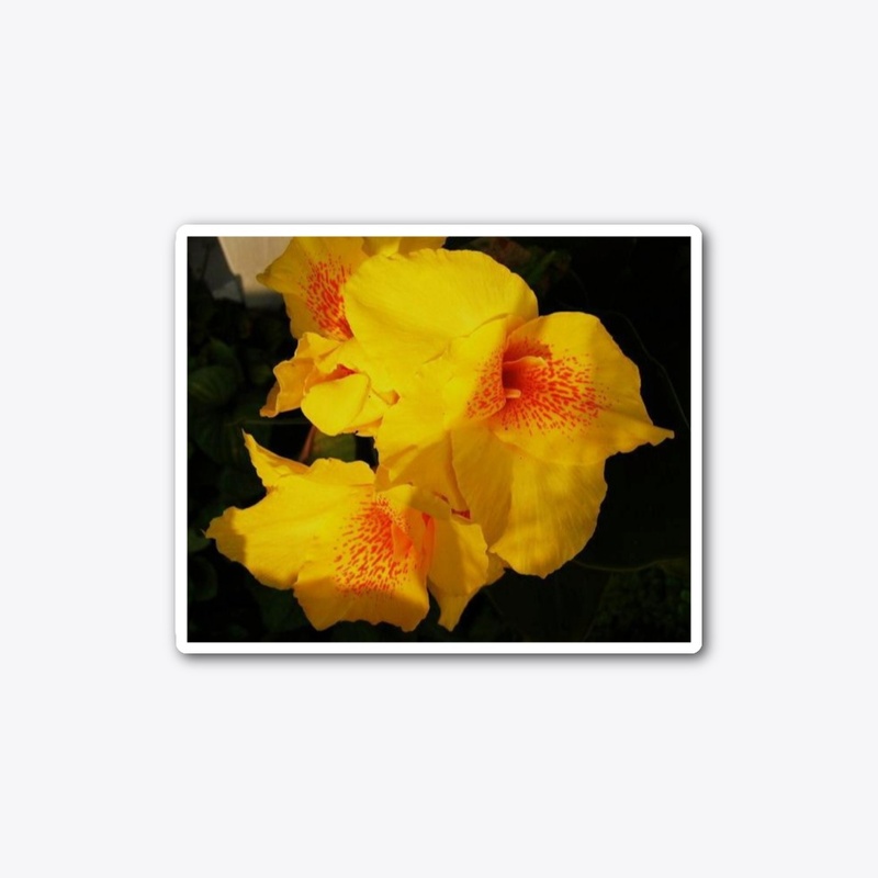 yellow orange flowers
