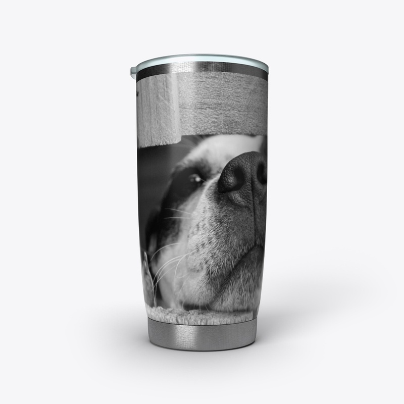 Lovely dog