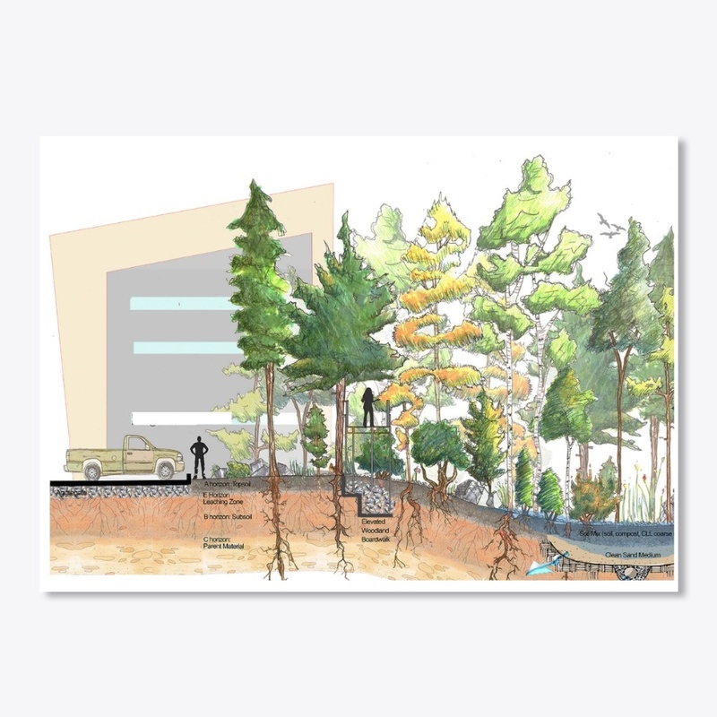 Woodland Wanders