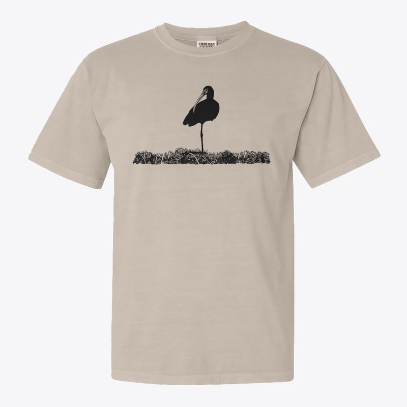 Birdwatching-White Faced Ibis