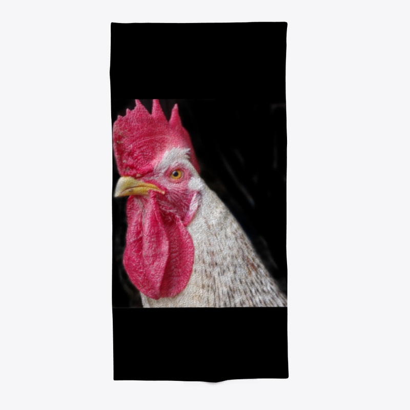 rooster chicken farm animal