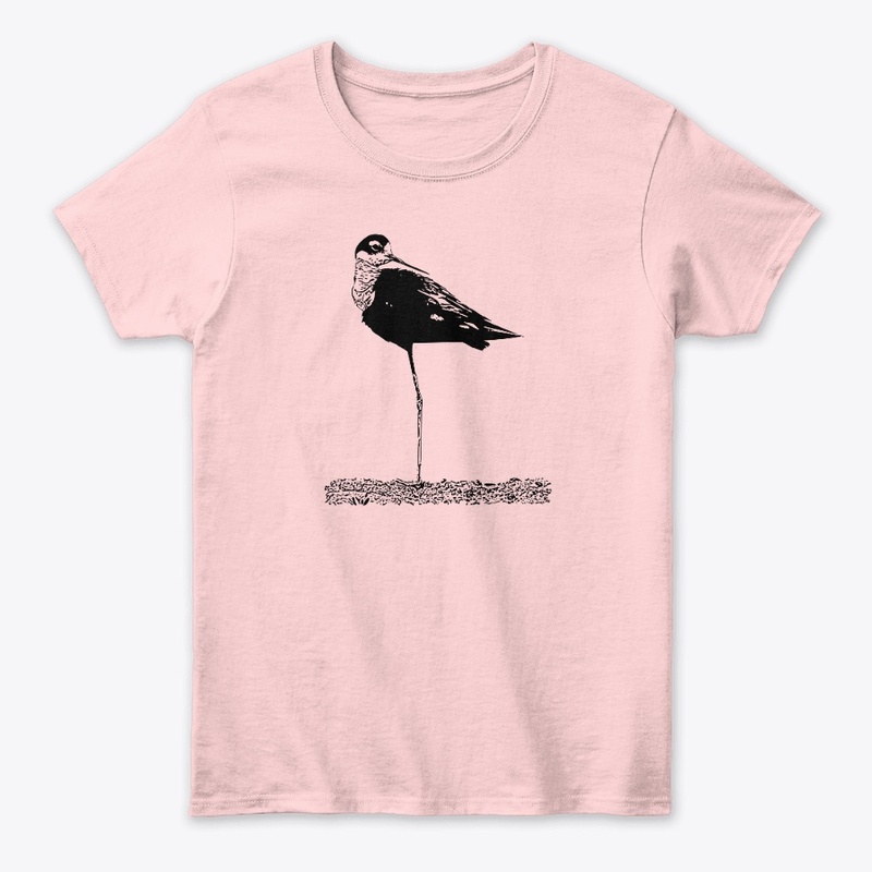 Black-necked Stilt