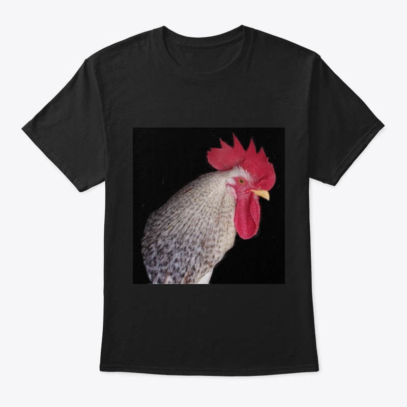 rooster2