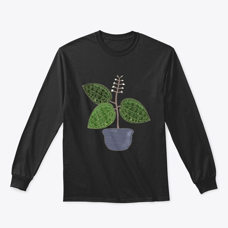 Jewel Orchid Macodes Petola Art
