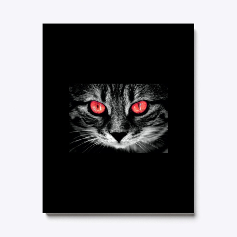 red eyed cat