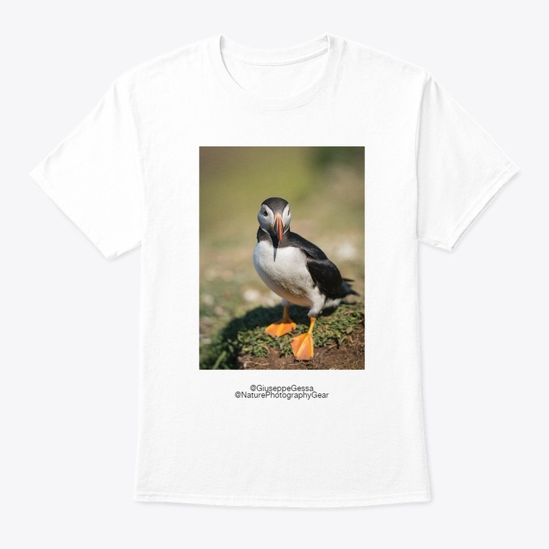 Puffin