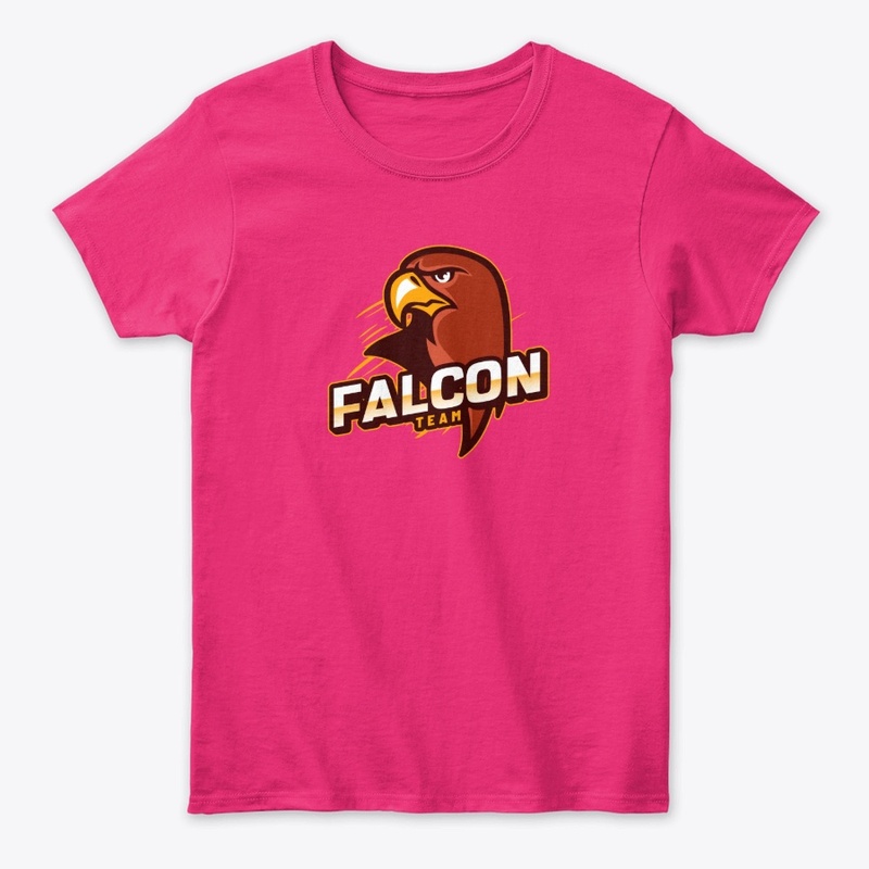 Team Falcon2