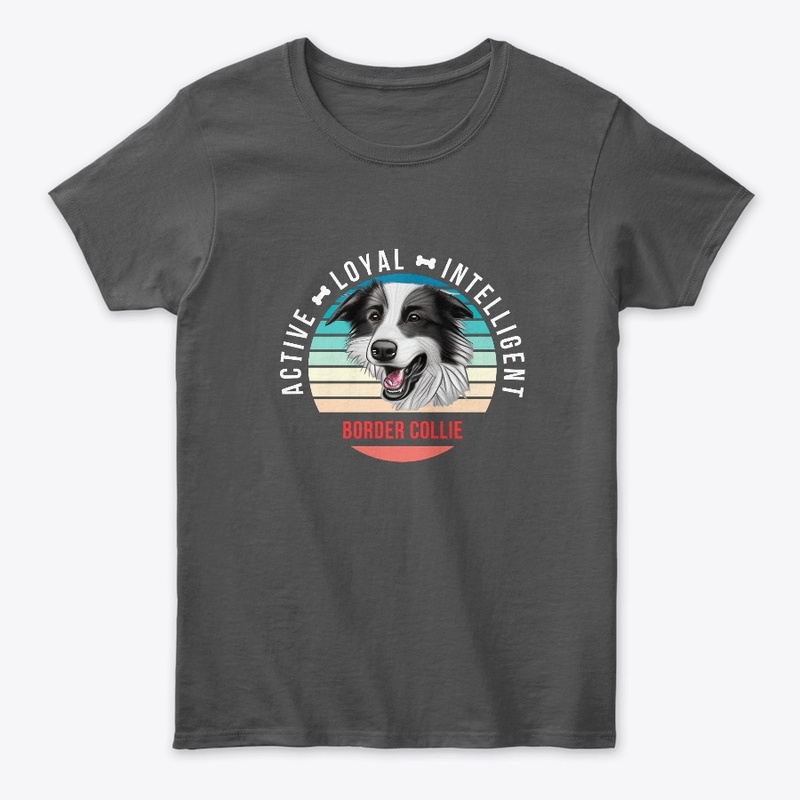Border Collie - Active, Loyal