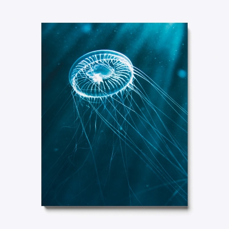 Jellyfish in the ocean