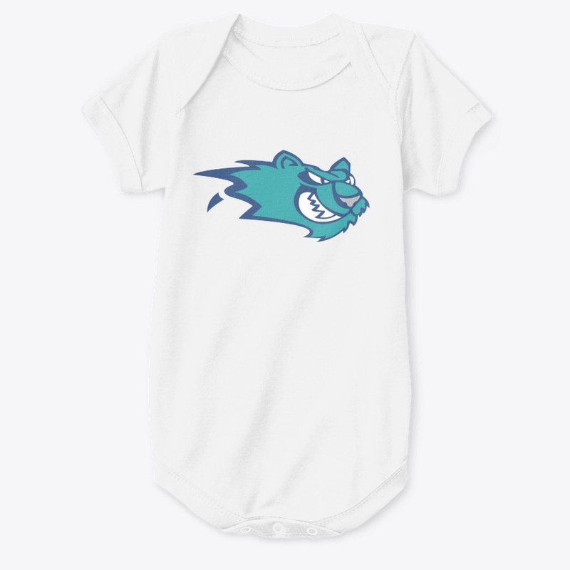 Worcester IceCats Hockey