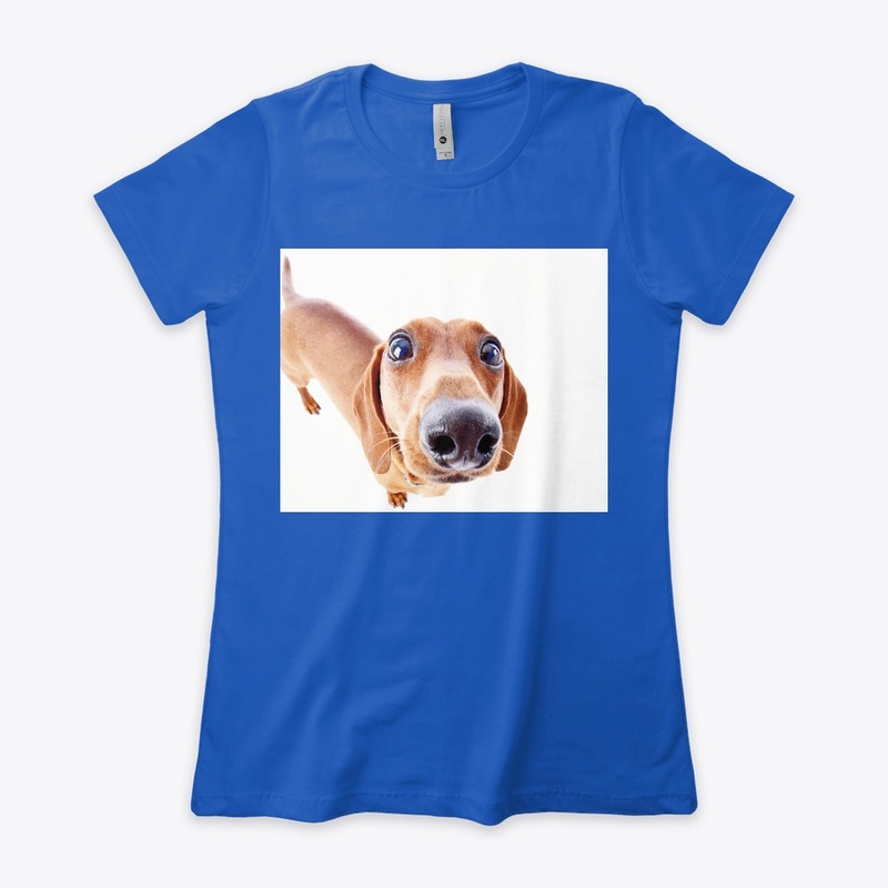 Dashshund Lover