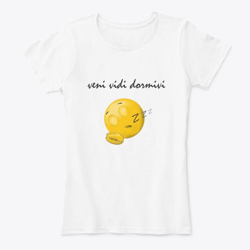 veni vidi dormivi