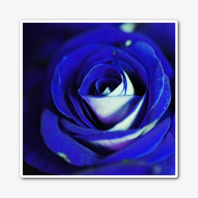 Blue Rose