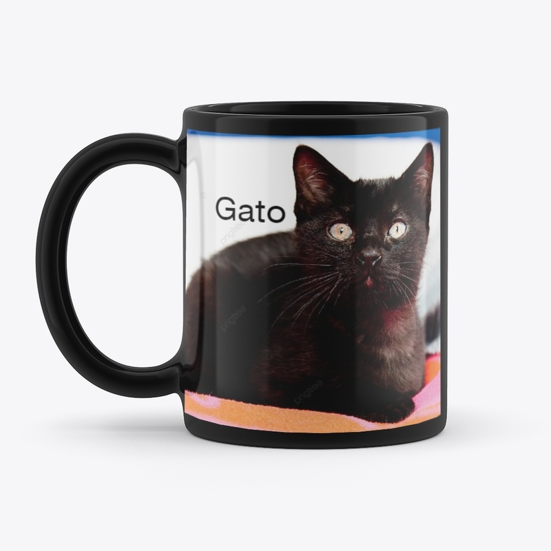 Gato