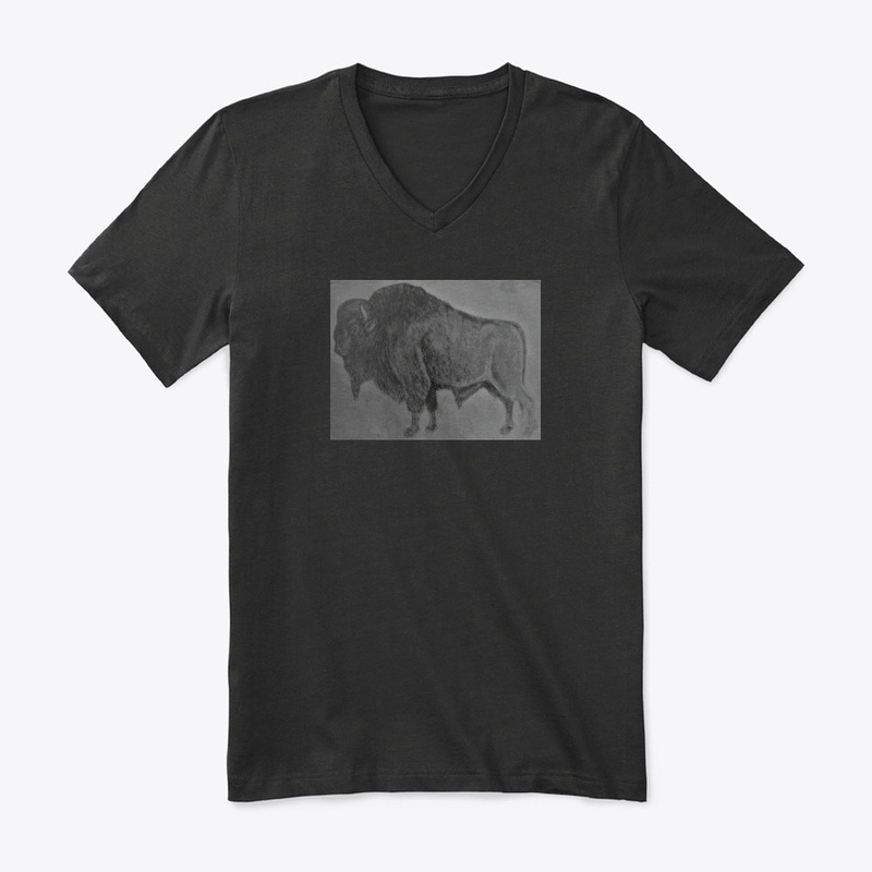 sweatshirt/tshirts