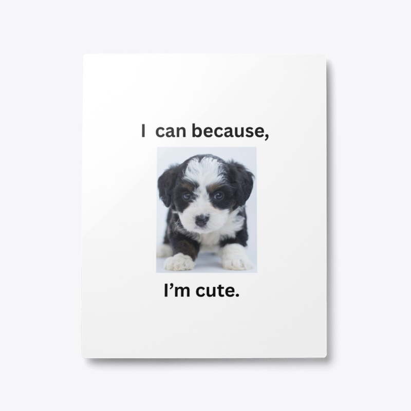 For the dog lovers.