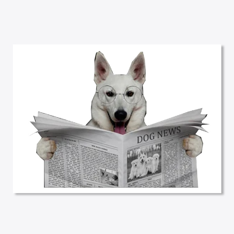 Berger Blanc Suisse