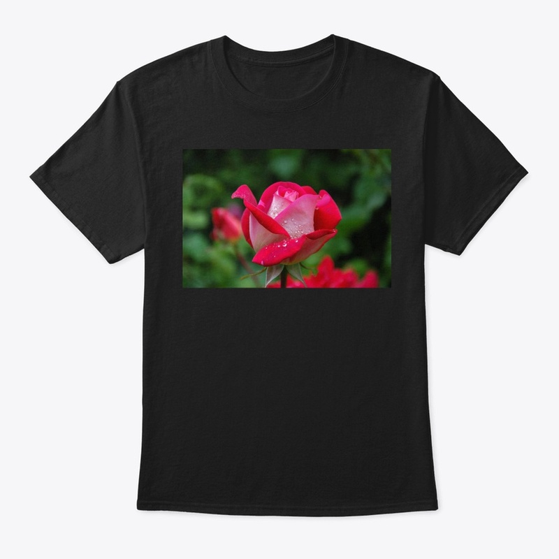 Teshirt