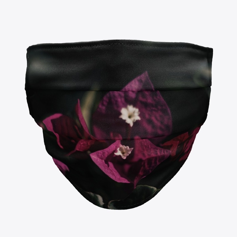 bloom in the night