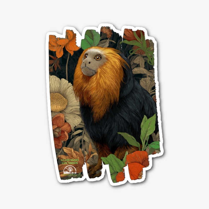 Golden Headed Lion Tamarin