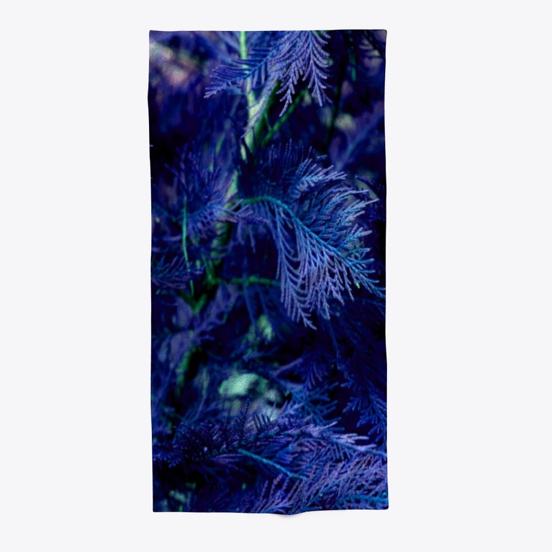 blue cypress 