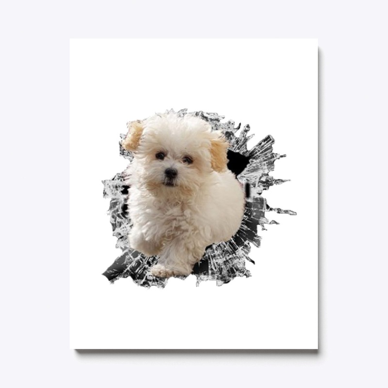 Cute maltese sticker