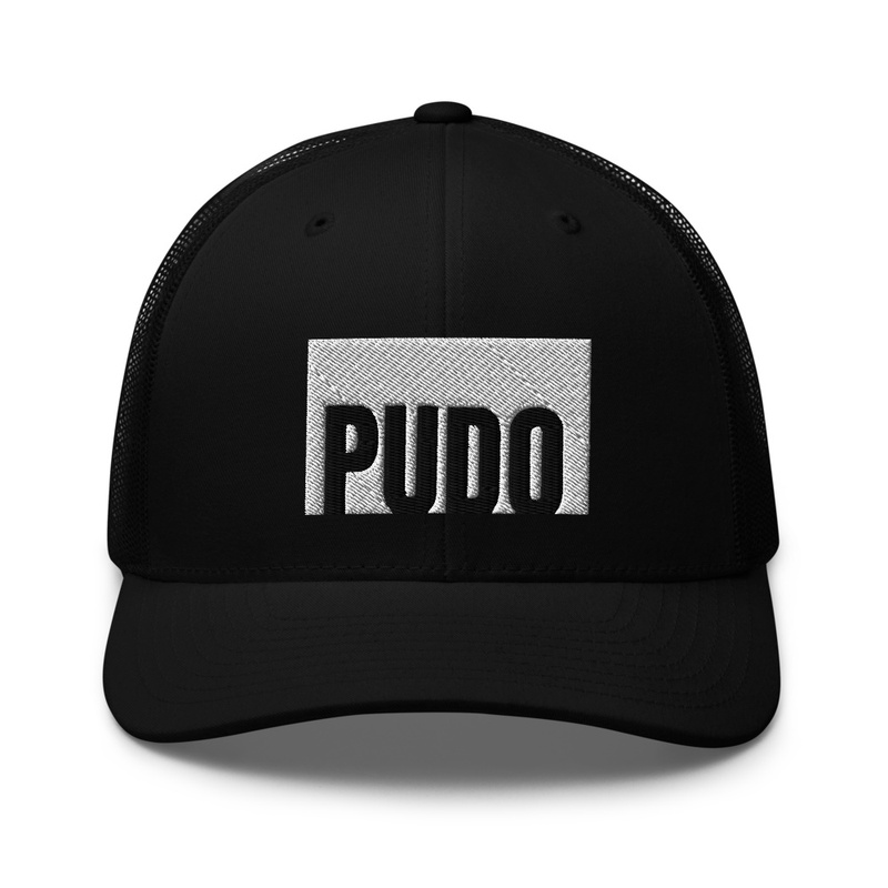 Pudo