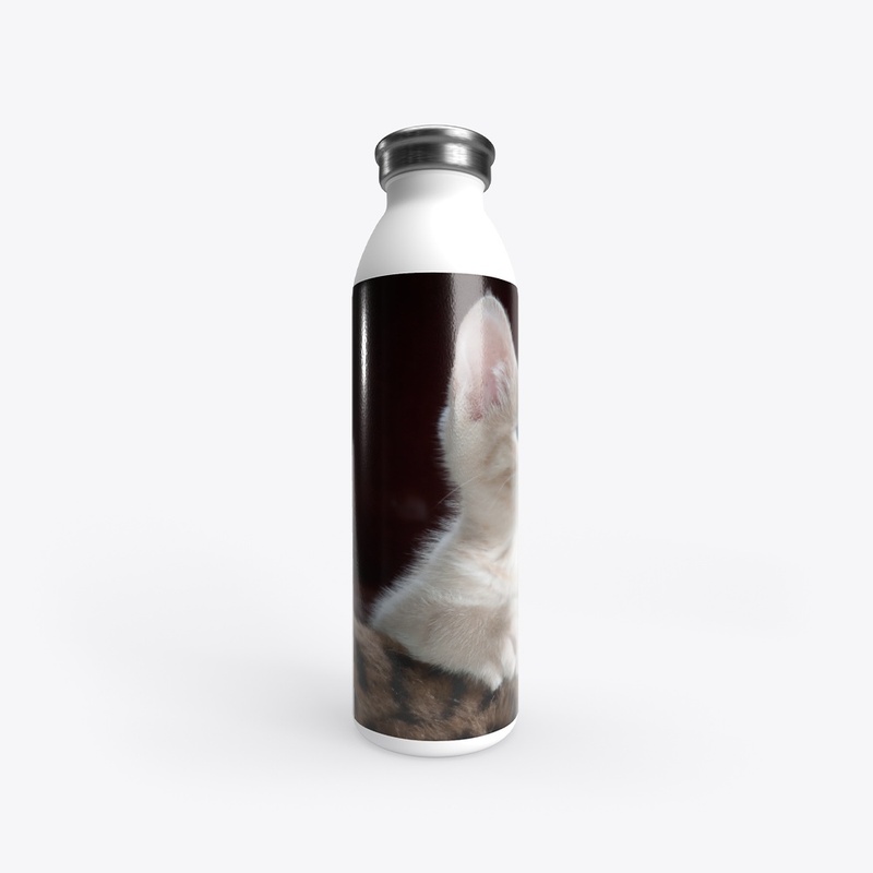 Funny cat printed products