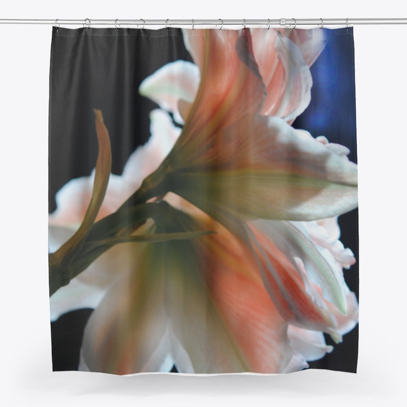 Amaryllis In The Light