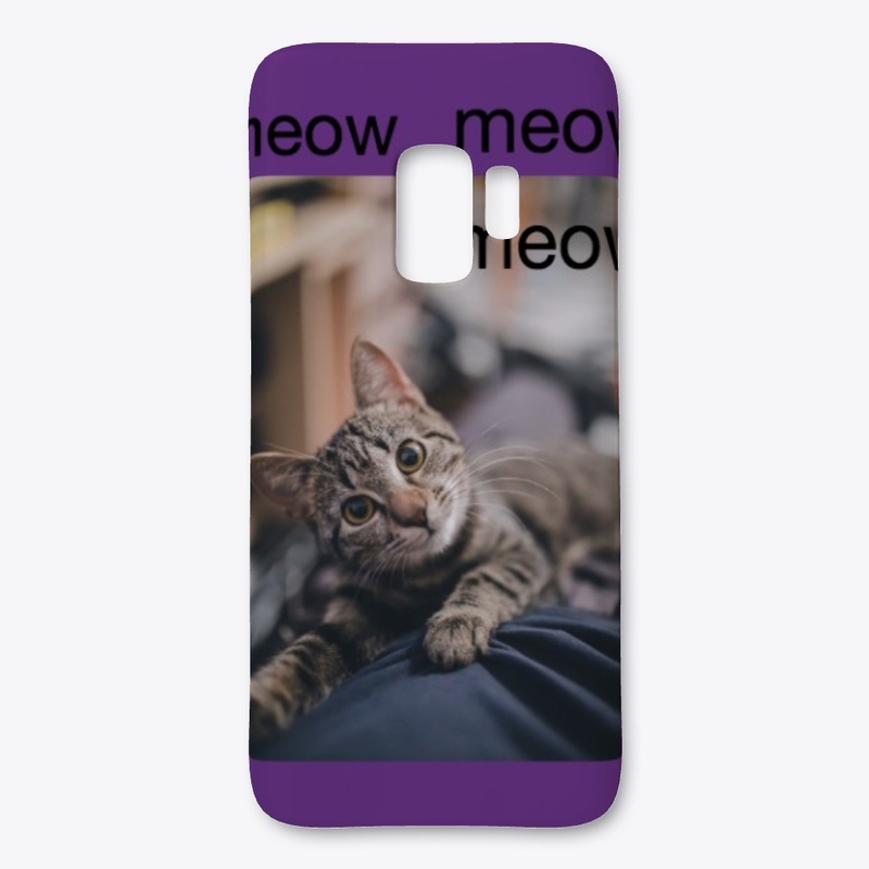 Meowing cat