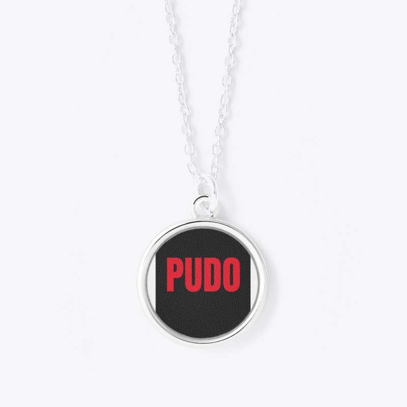 Pudo