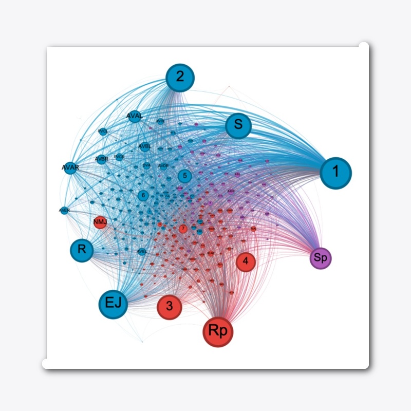 C. Elegans Neural Network
