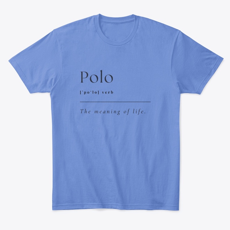 Definition of Polo