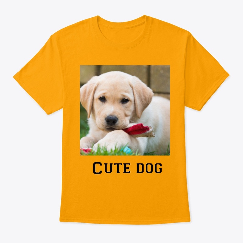 Cute dog