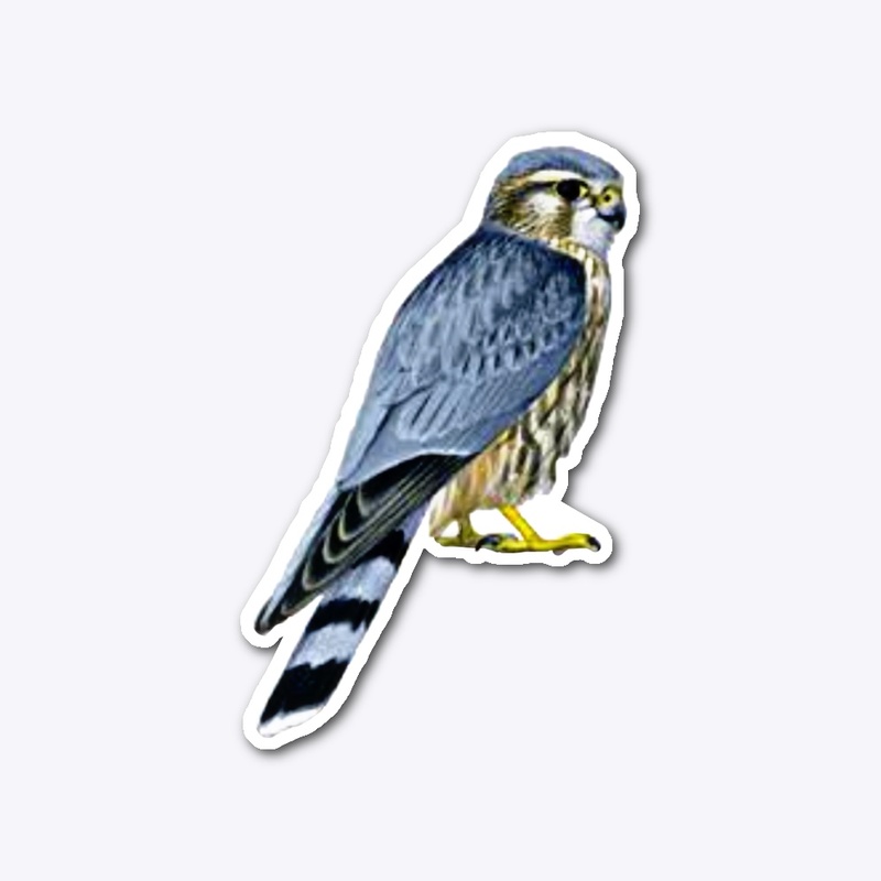 Merlin sticker