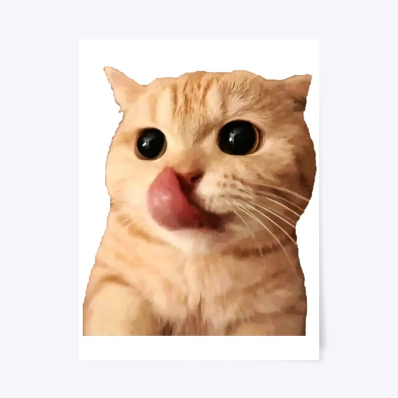 Hungry Cat