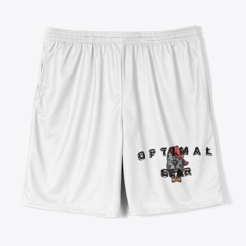Optimal Gear - Phase II