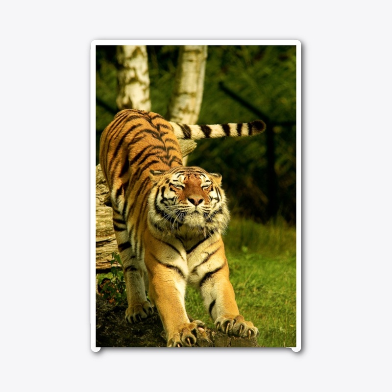 Tiger king design