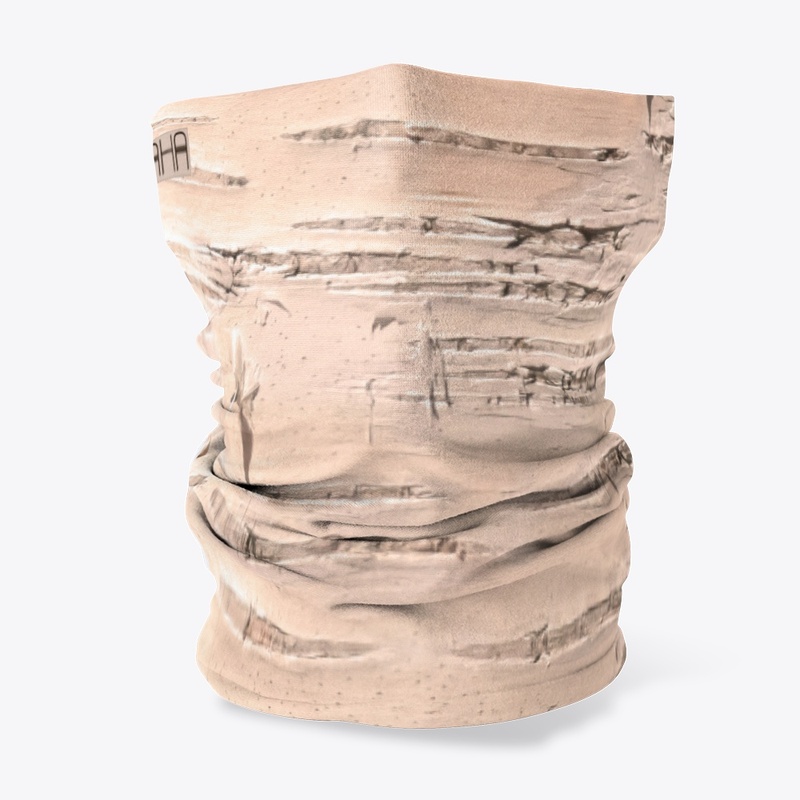 Sunny Exuberance #3 - Birch Tree Bark