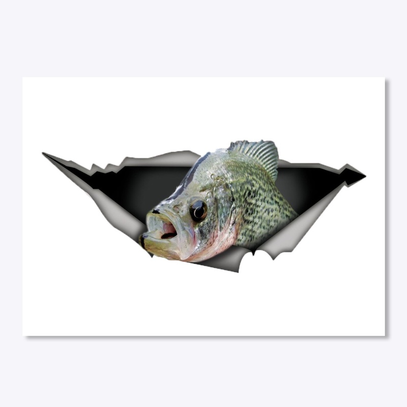 Crappie Sticker
