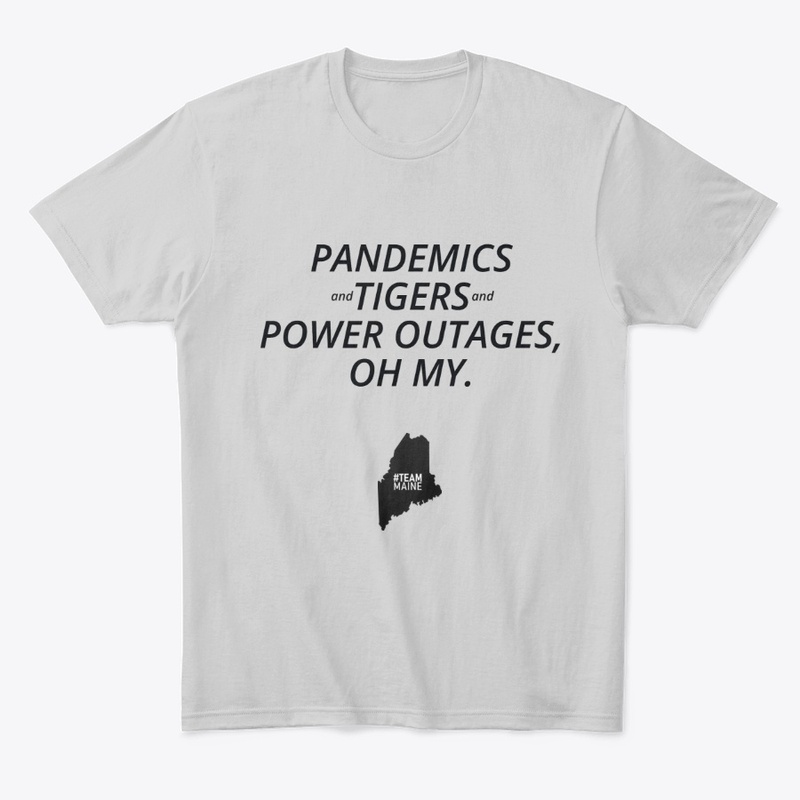 Team Maine -Pandemics Oh My (B)
