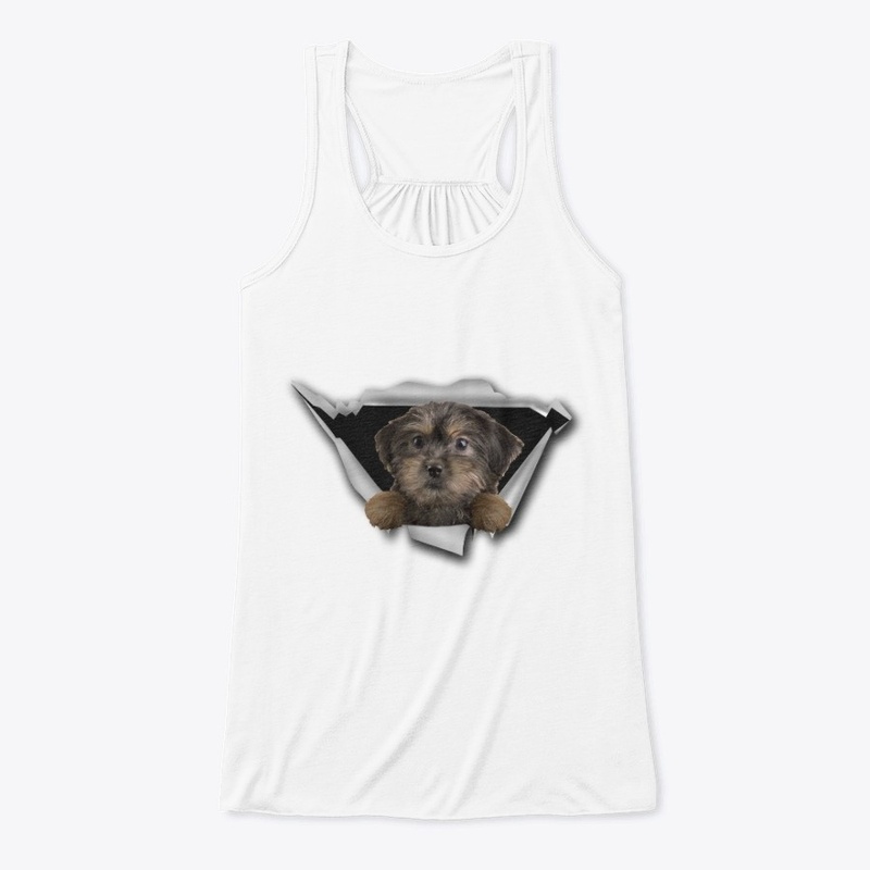 Yorkiepoo - Torn